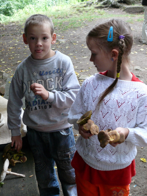 Sekundární přínosy pouti